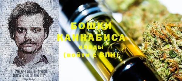 PSILOCYBIN Аркадак
